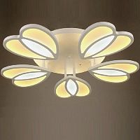 Светильник светодиодный (Люстра) Мелодия Света Лепестки 13Вт+8Вт картинка 